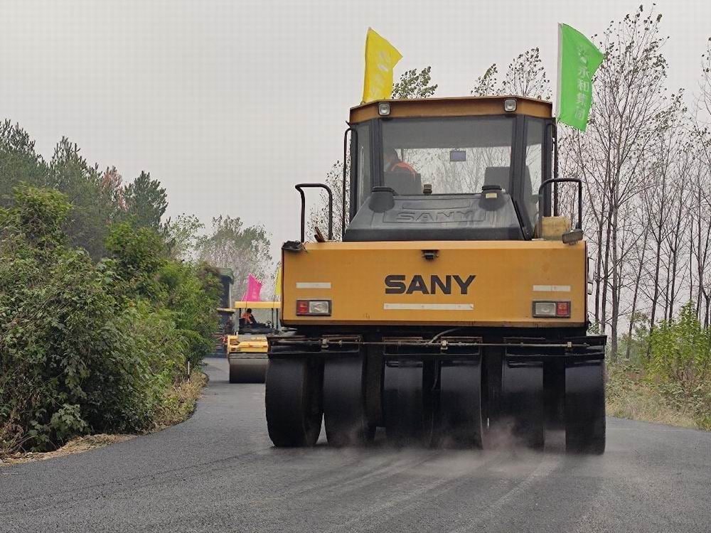 商城的《踏莎行》- 青松林下茯苓多,白云深處黃精盛。